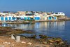 Armier Bay Beach