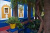 Ogrody Majorelle