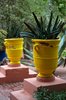 Ogrody Majorelle