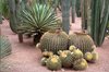 Ogrody Majorelle