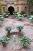 Ogrody Majorelle