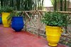 Ogrody Majorelle