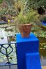 Ogrody Majorelle