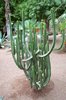 Ogrody Majorelle
