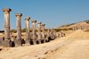 Volubilis
