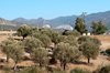 Volubilis