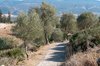 Volubilis