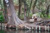 Xochimilco