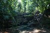  Palenque