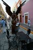 Campeche