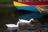 Xochimilco