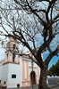 Taxco