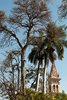 Cuernavaca
