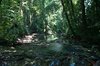 Palenque