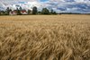 Gamla Uppsala 