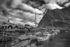 Reine