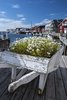 Henningsvar - Islas Lofoten