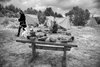 Lofotr Vikingmuseum - festiwal Wikingów