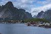 Reine
