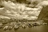 Reine