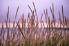 Archipelag Vesteralen – Andoya - Andenes