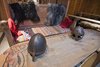 Lofotr Vikingmuseum