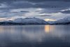 Troms