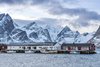 Reine
