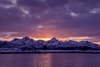 Vesteralen, Langoya, Fjordcamp