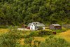 Flamsbana (Myrdal-Flam)