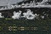 Innvikfjord