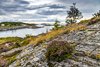 The Atlantic Road