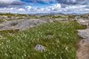 Kjeragbolten