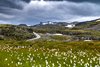 Gammel Aurlandsveggen