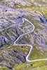 Dalsnibba