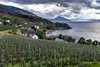 Hardangerfjord