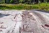 Vitlycke Rock Carvings
