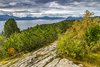 Molde