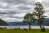 Hardangerfjord