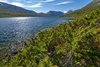 Gamle Strynefjellsvegen