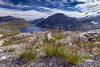 Dalsnibba