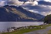 Hardangerfjord