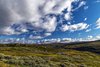 Hardangervidda nasjonalpark