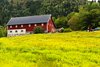 Balestrand