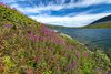 Gamle Strynefjellsvegen