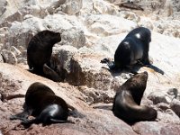 DSC1255  Galapagos dla ubogich :-)
