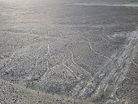 DSC1400 2  Na dużej powierzchni zostały wyżłobione linie przedstawiające różnorodne figury i rysunki zwierząt