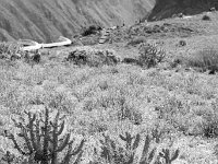 DSC2030  Cruz del Condor