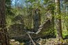 Park Krajobrazowy Puszczy Solskiej, Ruiny Papierni Ordynacji Zamoyskich