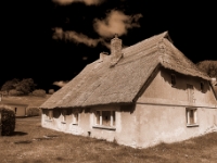 Klein Zicker